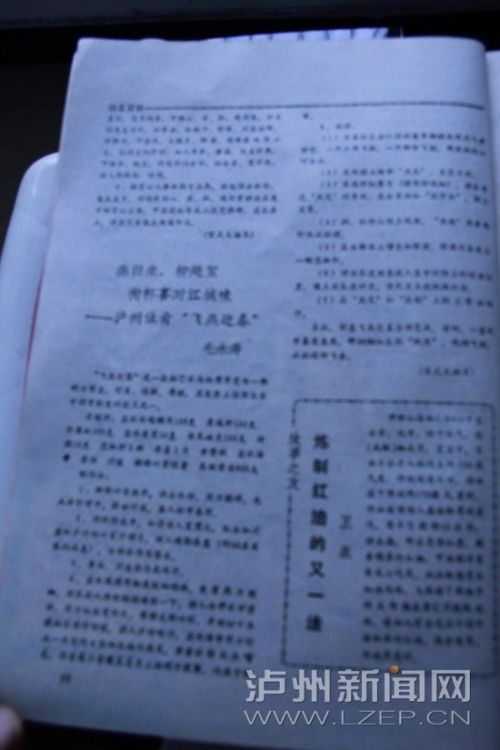 (九)87年《四川烹饪》:飞燕迎春(毛永寿)1